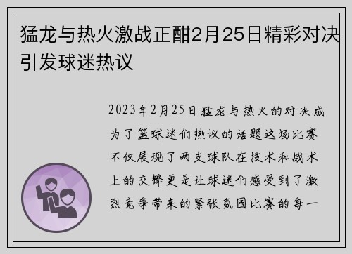 猛龙与热火激战正酣2月25日精彩对决引发球迷热议